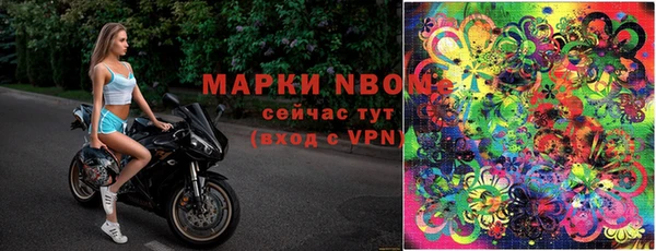 амф Заволжск
