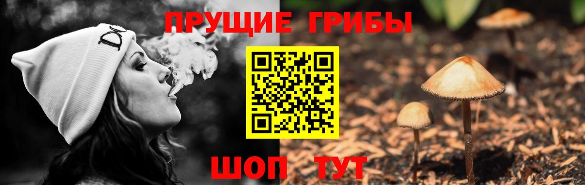 Соль-Илецк  Псилоцибиновые грибы мицелий  Вход с VPN 