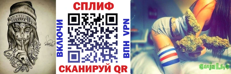 Каннабис планчик  наркошоп  Соль-Илецк 